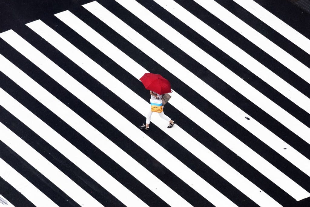 From Rain by Yoshinori Mizutani