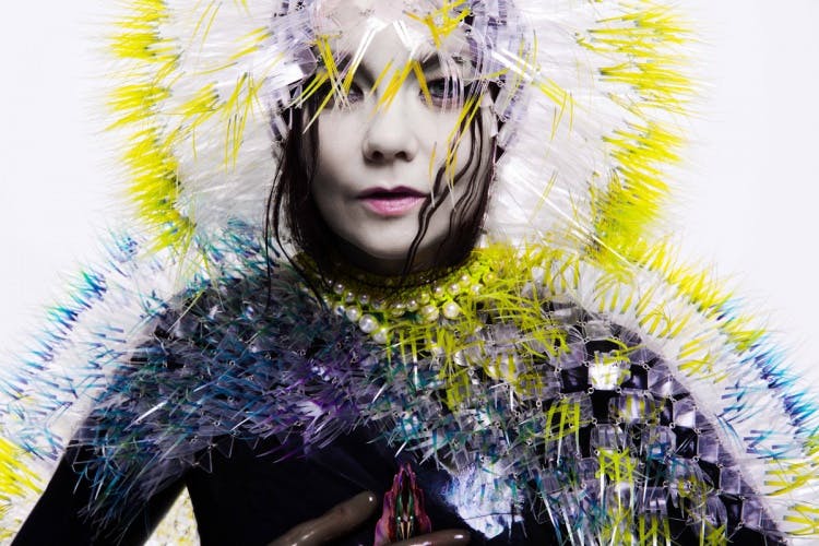 Bjork Vulnicura album art