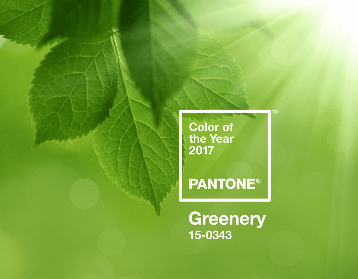 Greenery is Pantone colour of the year 2017 – Creative Review