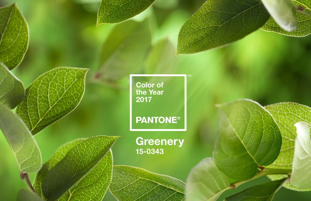 Greenery Pantone colour of the year 2017
