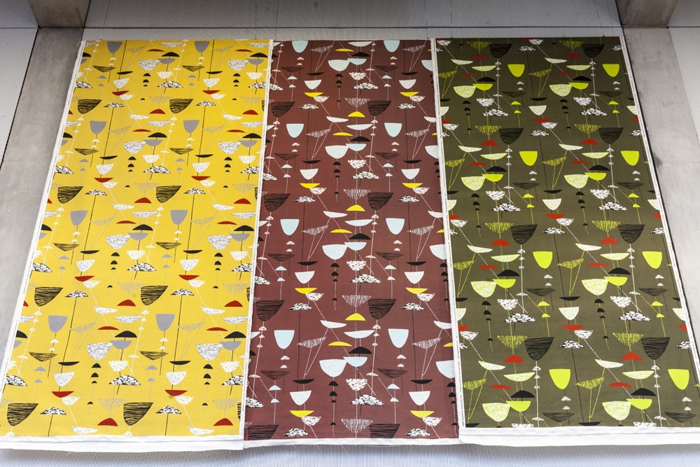 Lucienne Day