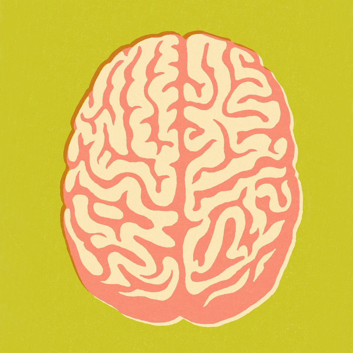 Debunking the left brain/right brain myth – Creative Review