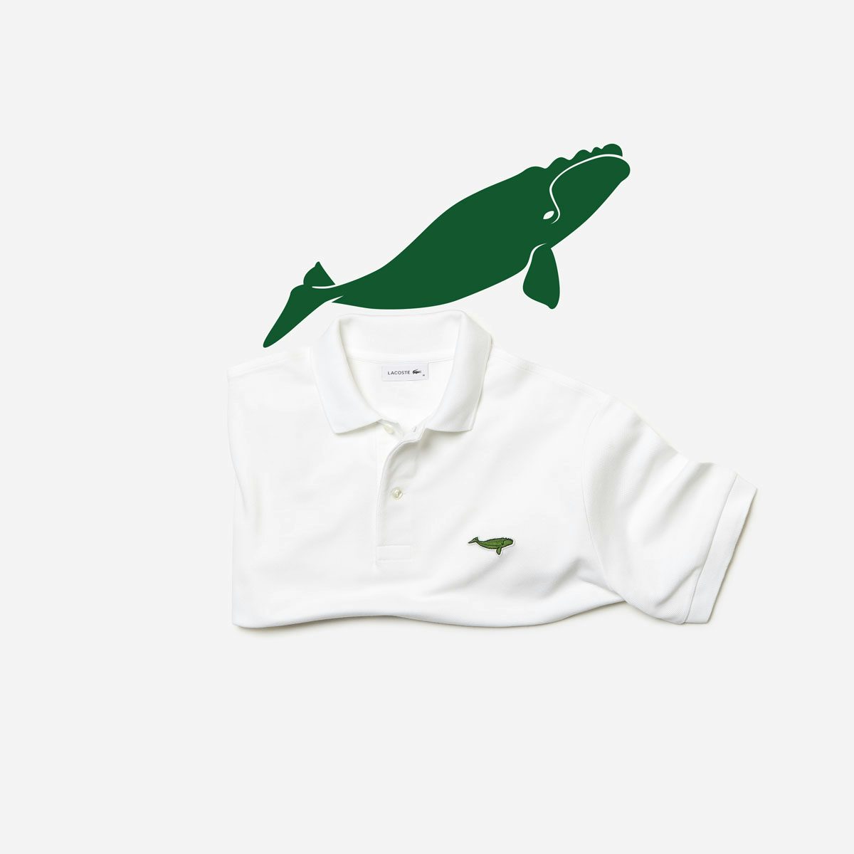 Har råd til Ulykke kredsløb Lacoste continues fight to save endangered animals in new campaign