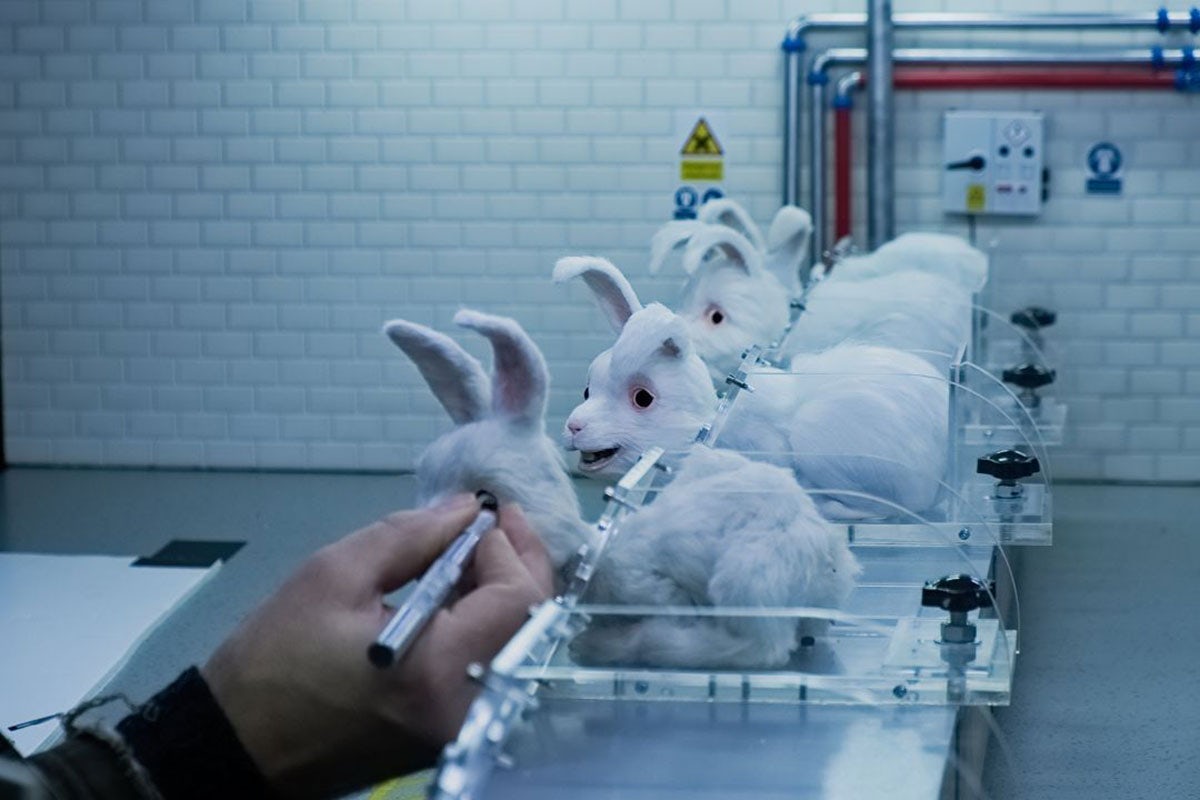 New animated short emphasises the harsh realities of animal testing