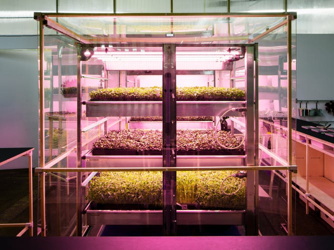 Hydroponic farming system created by Space10 for Lokal
