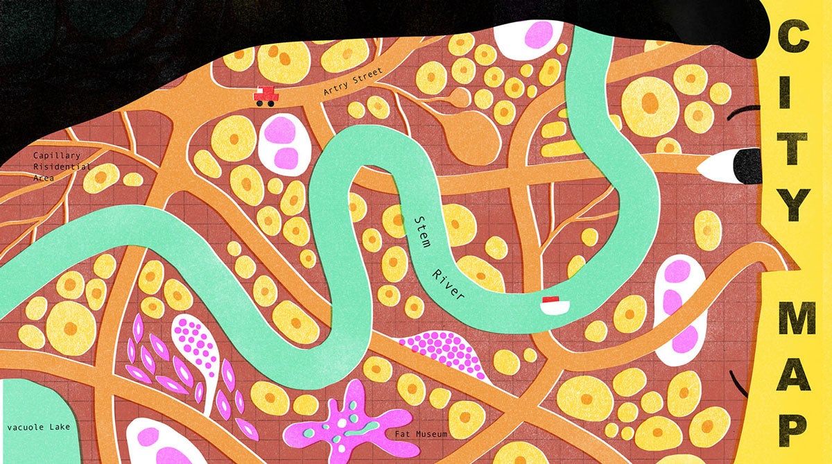 Jam Dong illustration