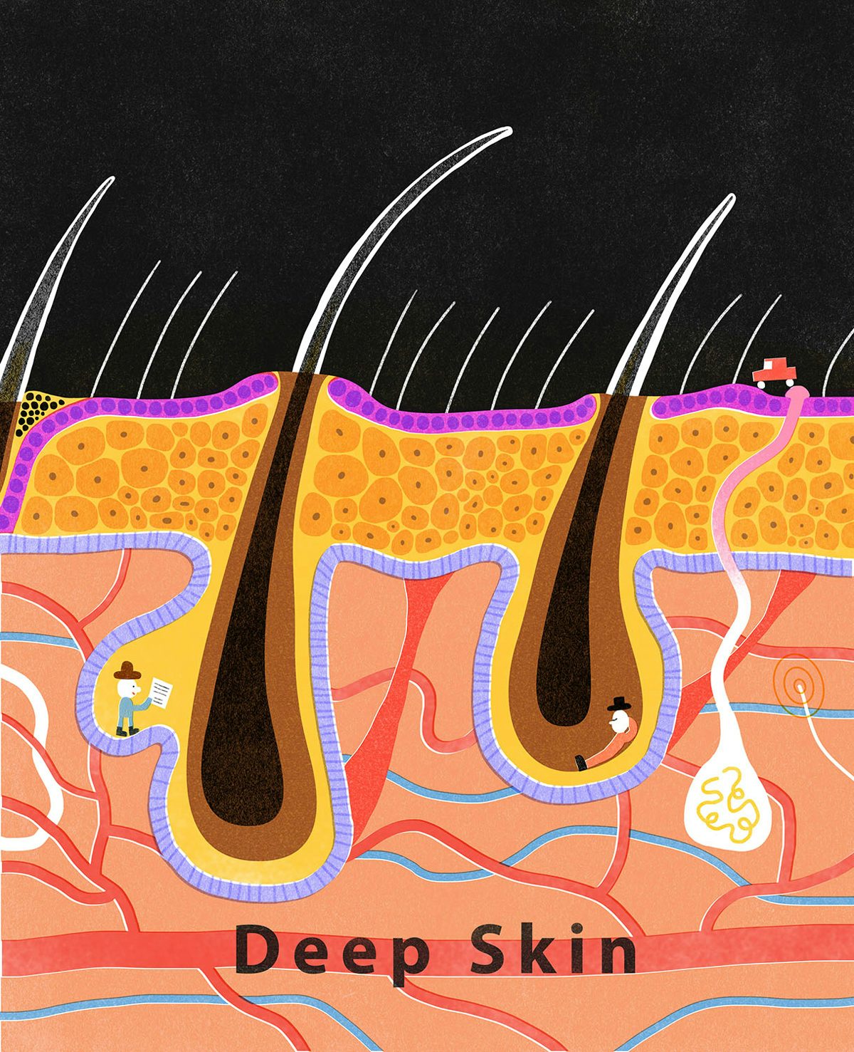 Jam Dong illustration