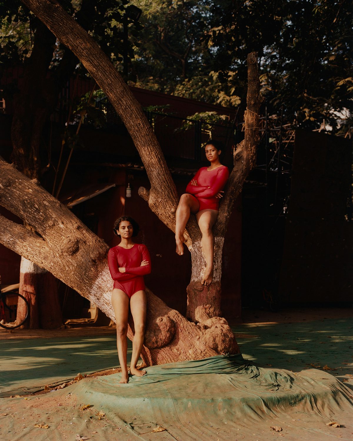 Photograph of young people sat in a tree in Vivek Vadoliya's book Mallakhamb