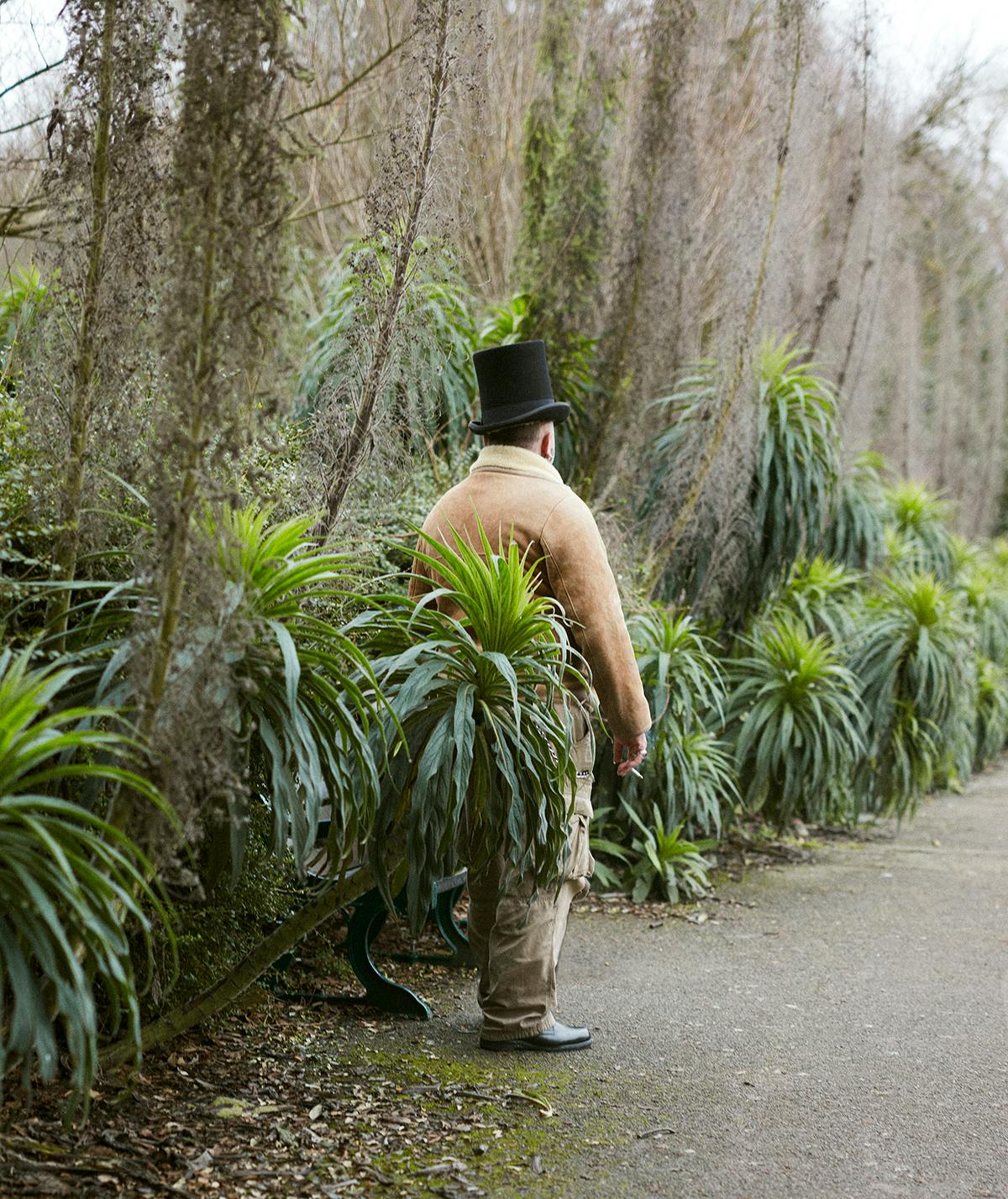 Photograph of a person from behind wearing a top hat and concealed partially by plants by Hugh Fox