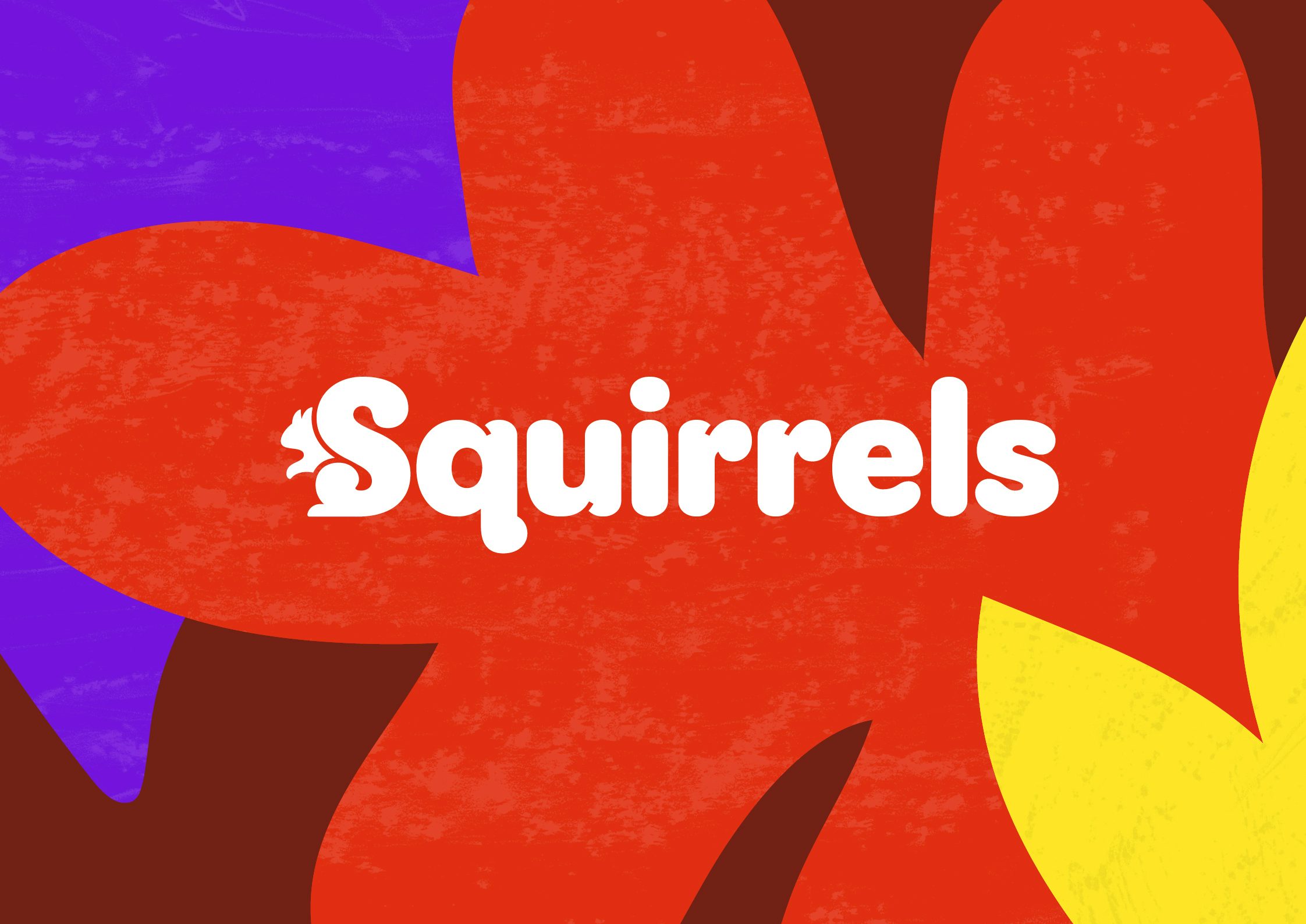 Scouts Squirrels brand identity
