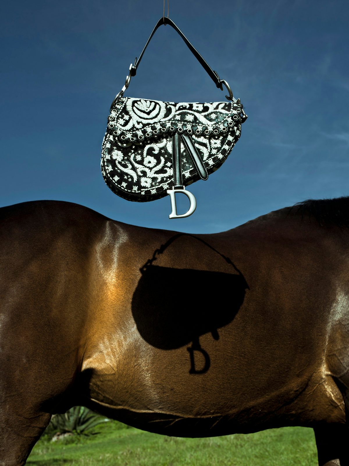 Photograph of a horse's body with the shadow of a handbag cast onto it, by Magnum photographer Cristina de Middel