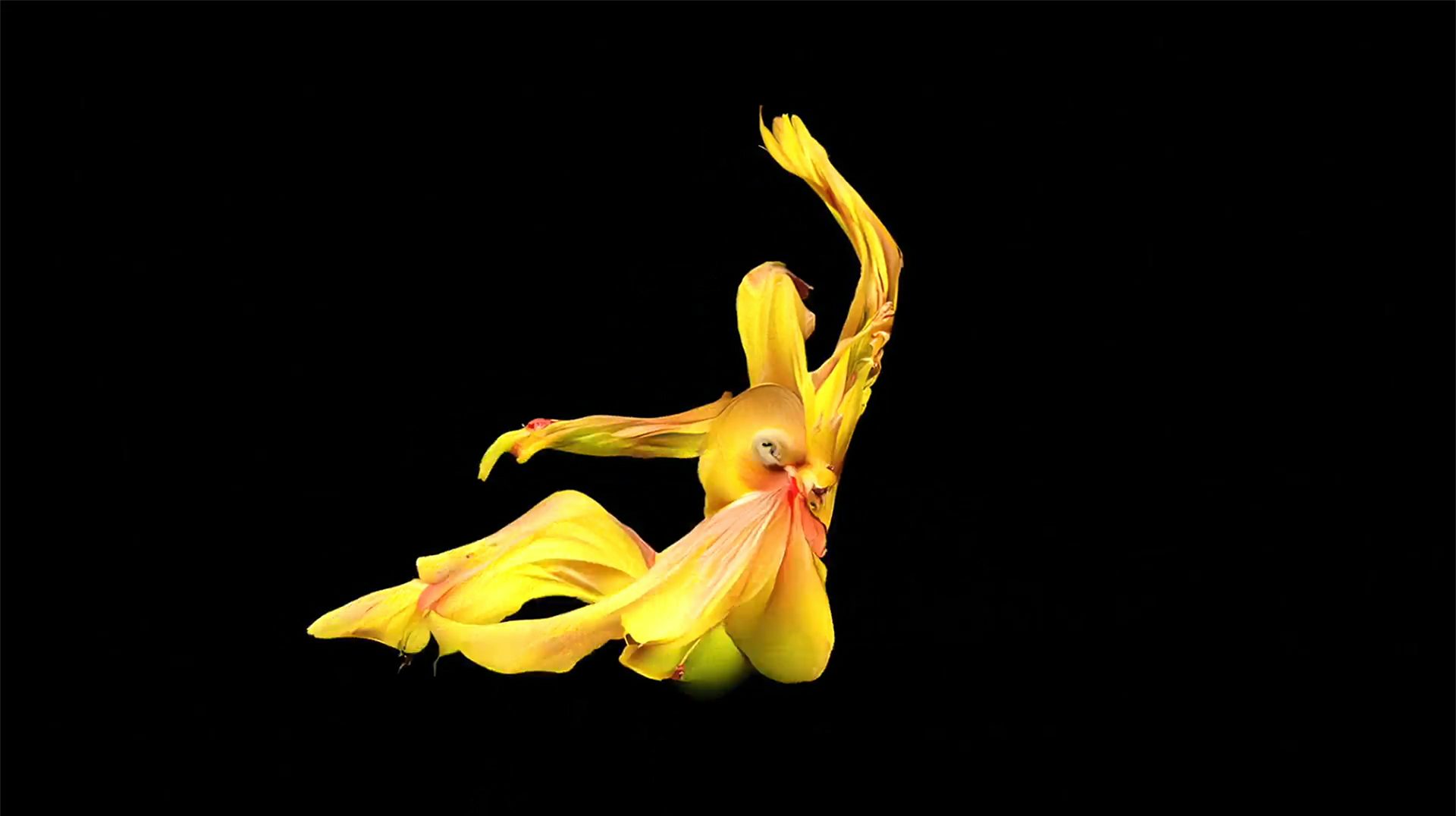 Still from the music video for Baby We're Ascending by HAAi