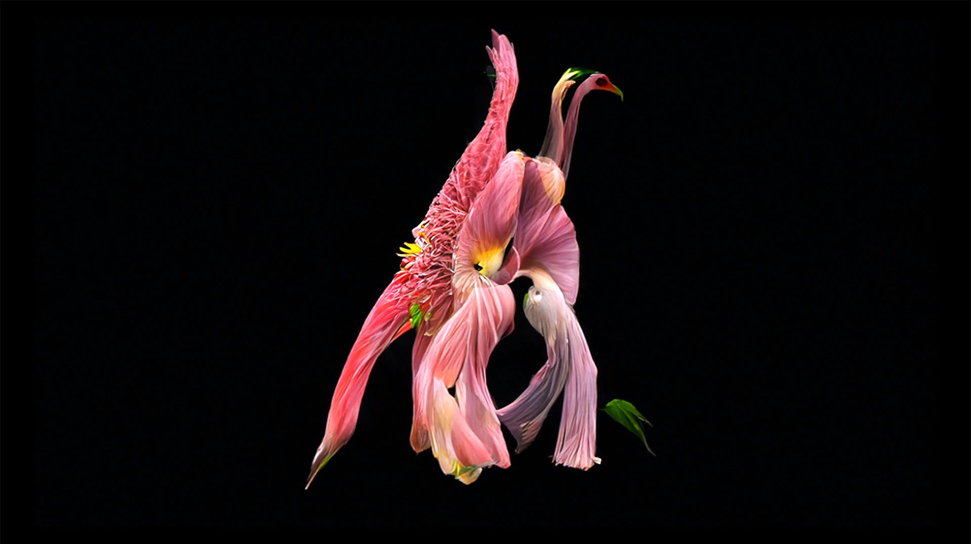 Still from the music video for Baby We're Ascending by HAAi