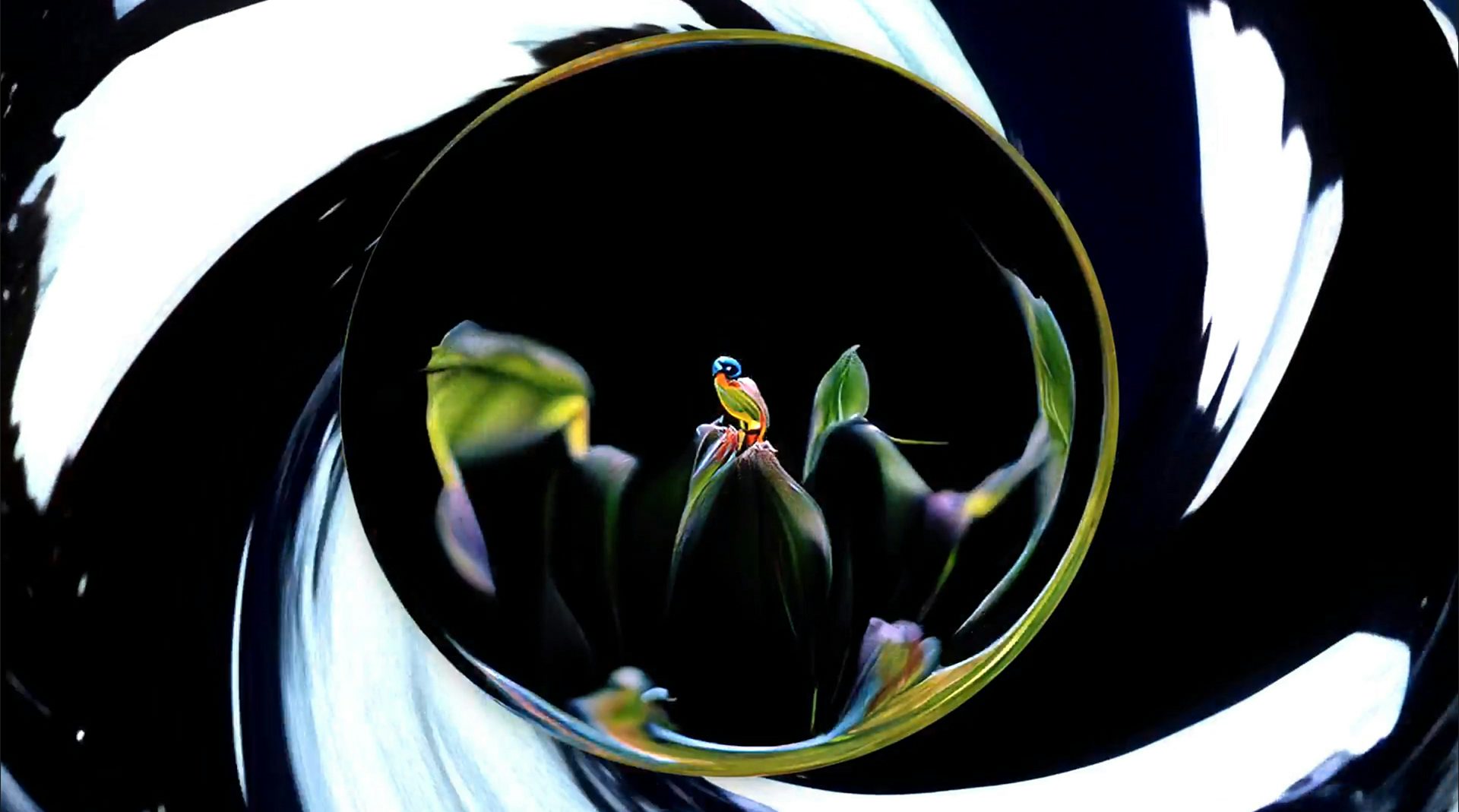 Still from the music video for Baby We're Ascending by HAAi