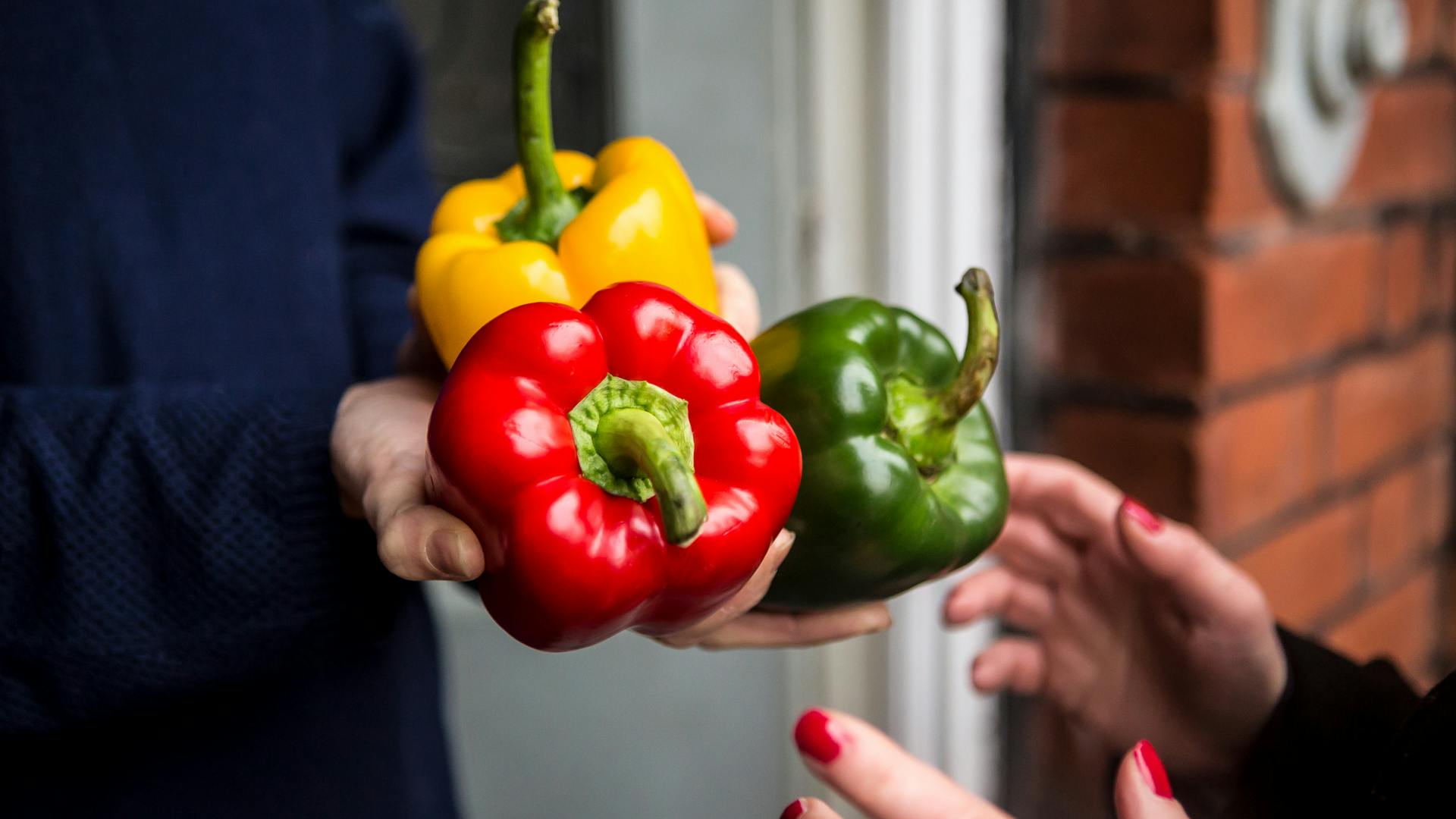 Photograph of green, yellow and red peppers