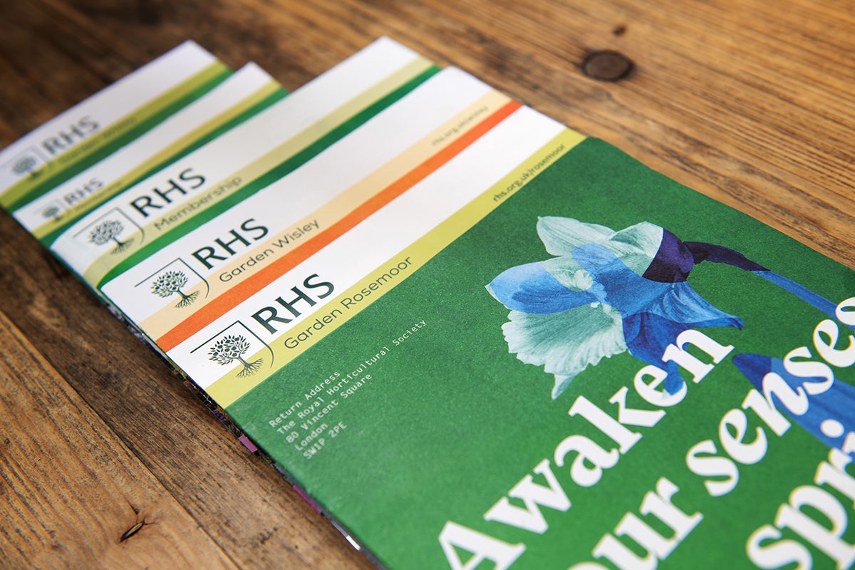 Photograph of RHS booklets featuring the new visual identity by Design Bridge