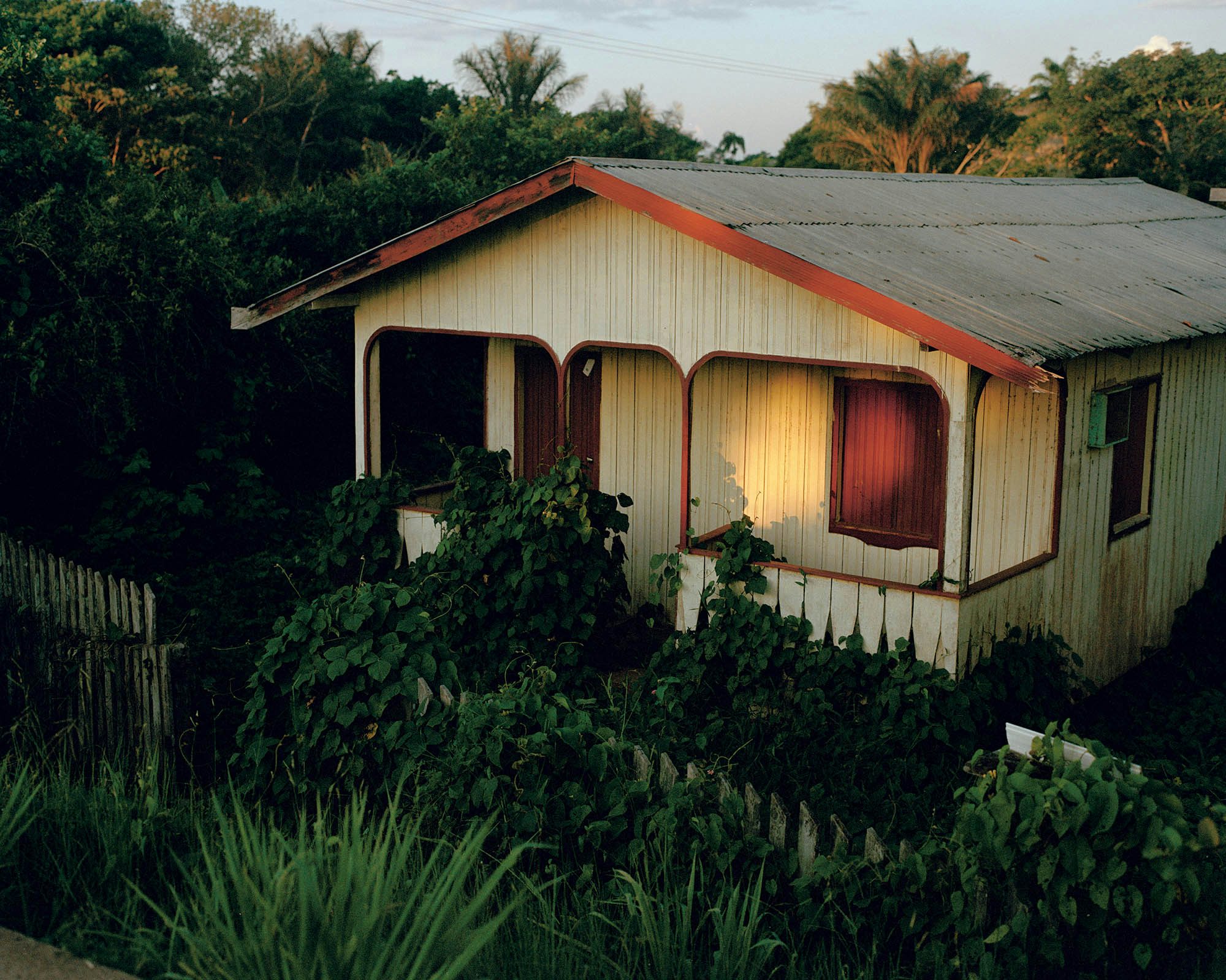 Photograph of the exterior of a building surrounded by greenery in Like a River by Daniel Jack Lyons