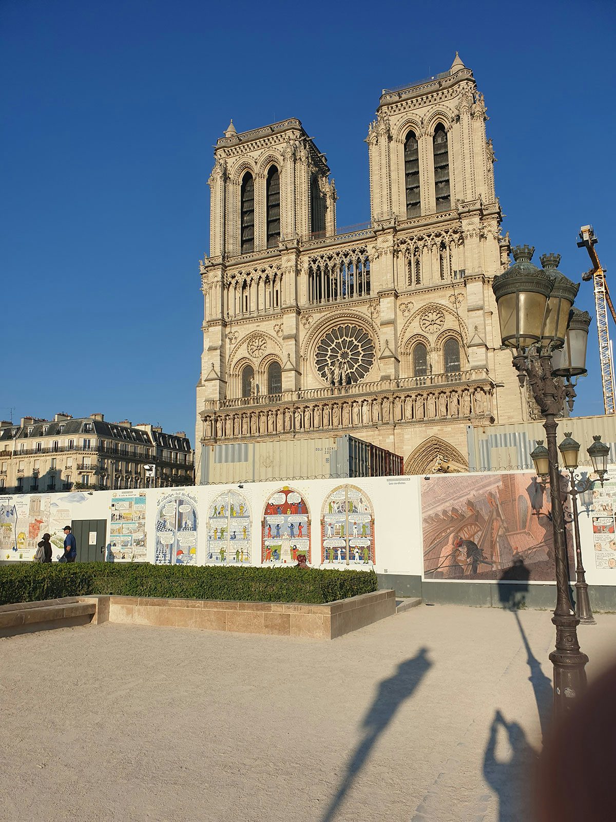 Notre Dame illustrated hoarding project