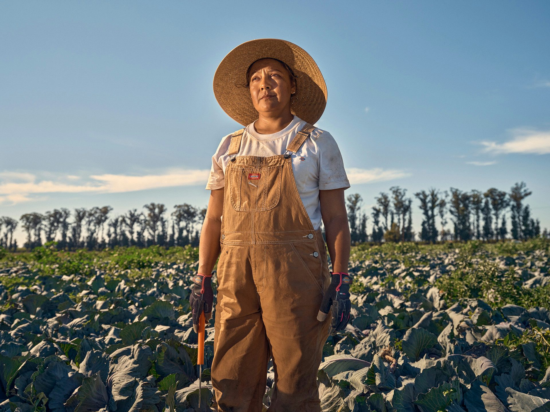 Photograph of a farmer stood in a field surrounded by crops in the Made in Dickies campaign