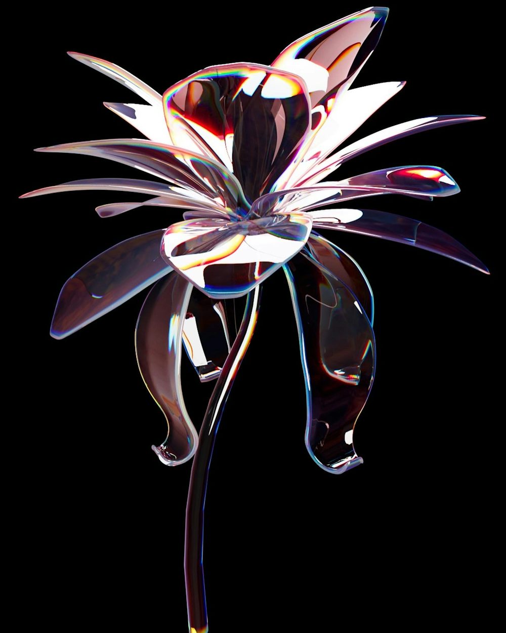 Eden Poole, travail d'animation graphique