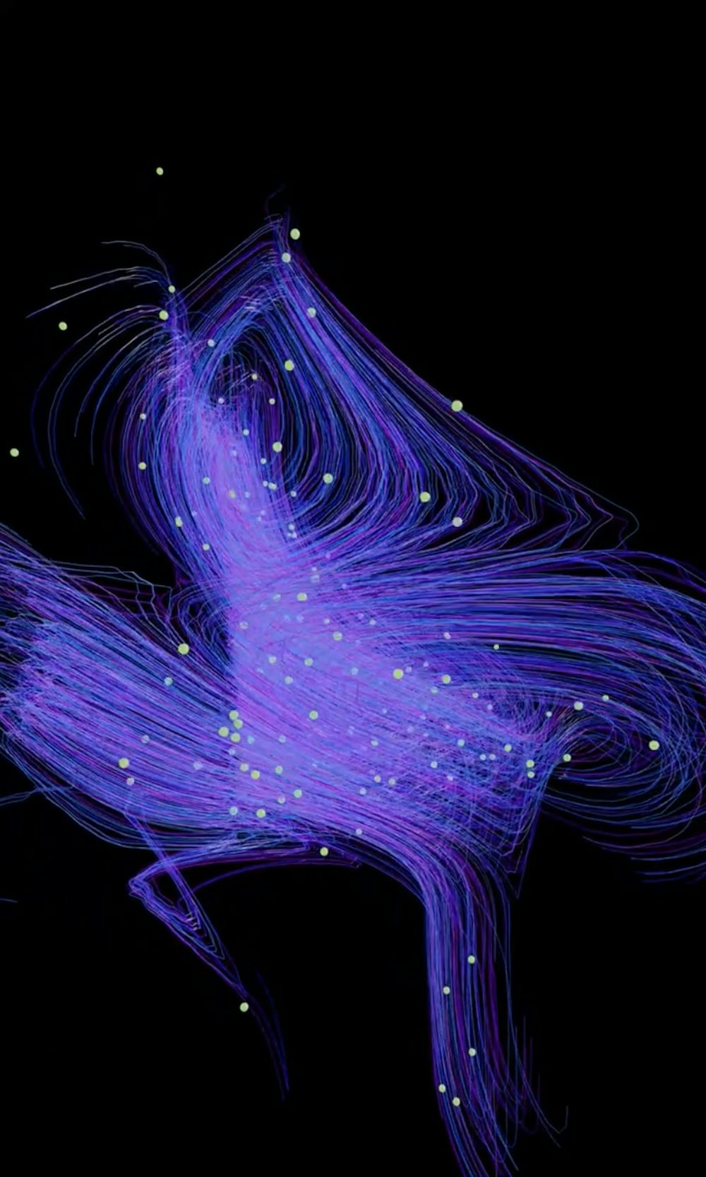 Eden Poole, travail d'animation graphique