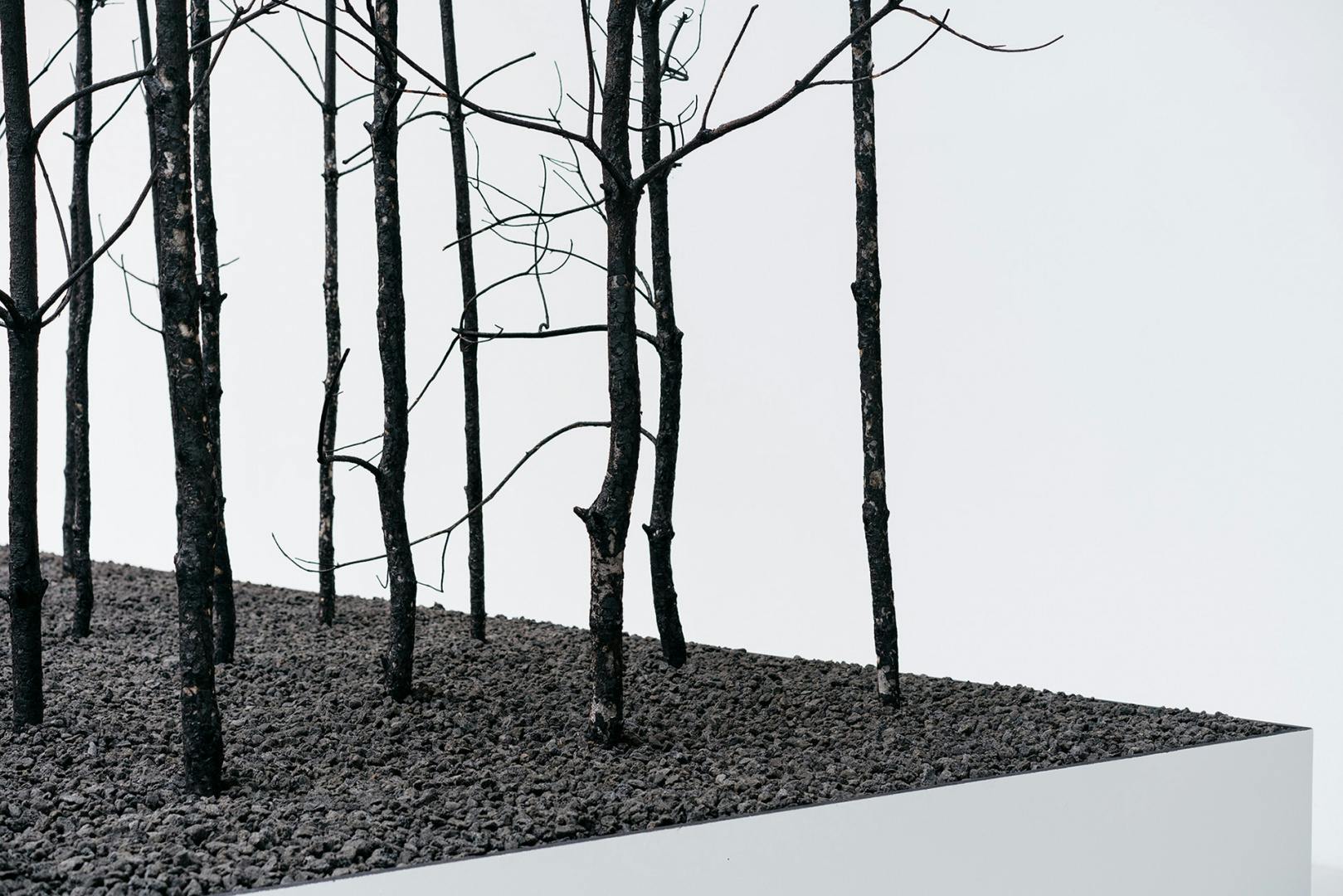 Image shows trees against a white backdrop in Invocation for Hope by Superflux