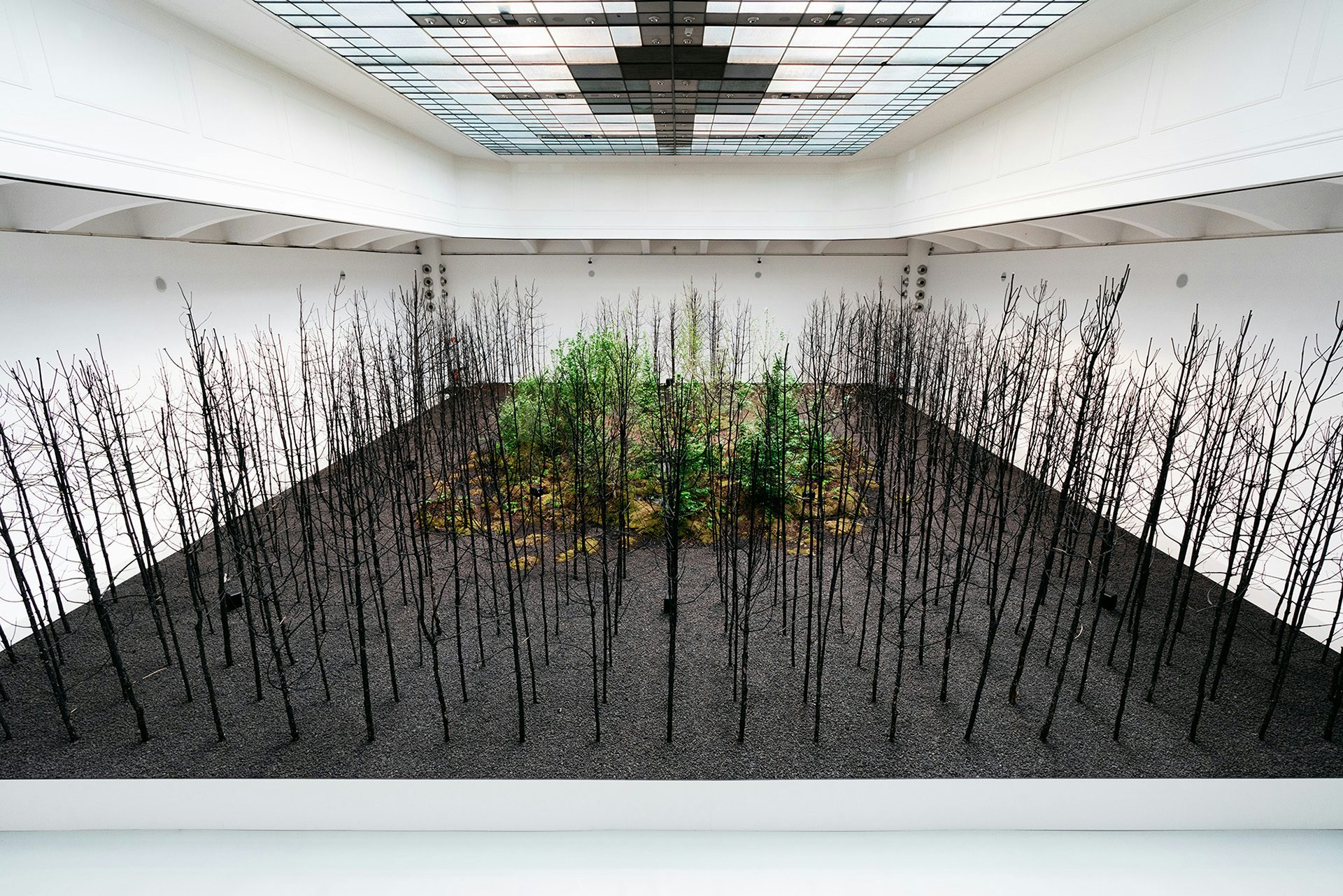 Image d'Invocation pour l'espoir par Superflux
