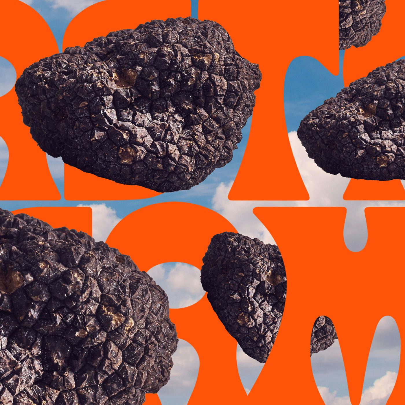 Image shows a cut-out graphic of truffles against a patterned background