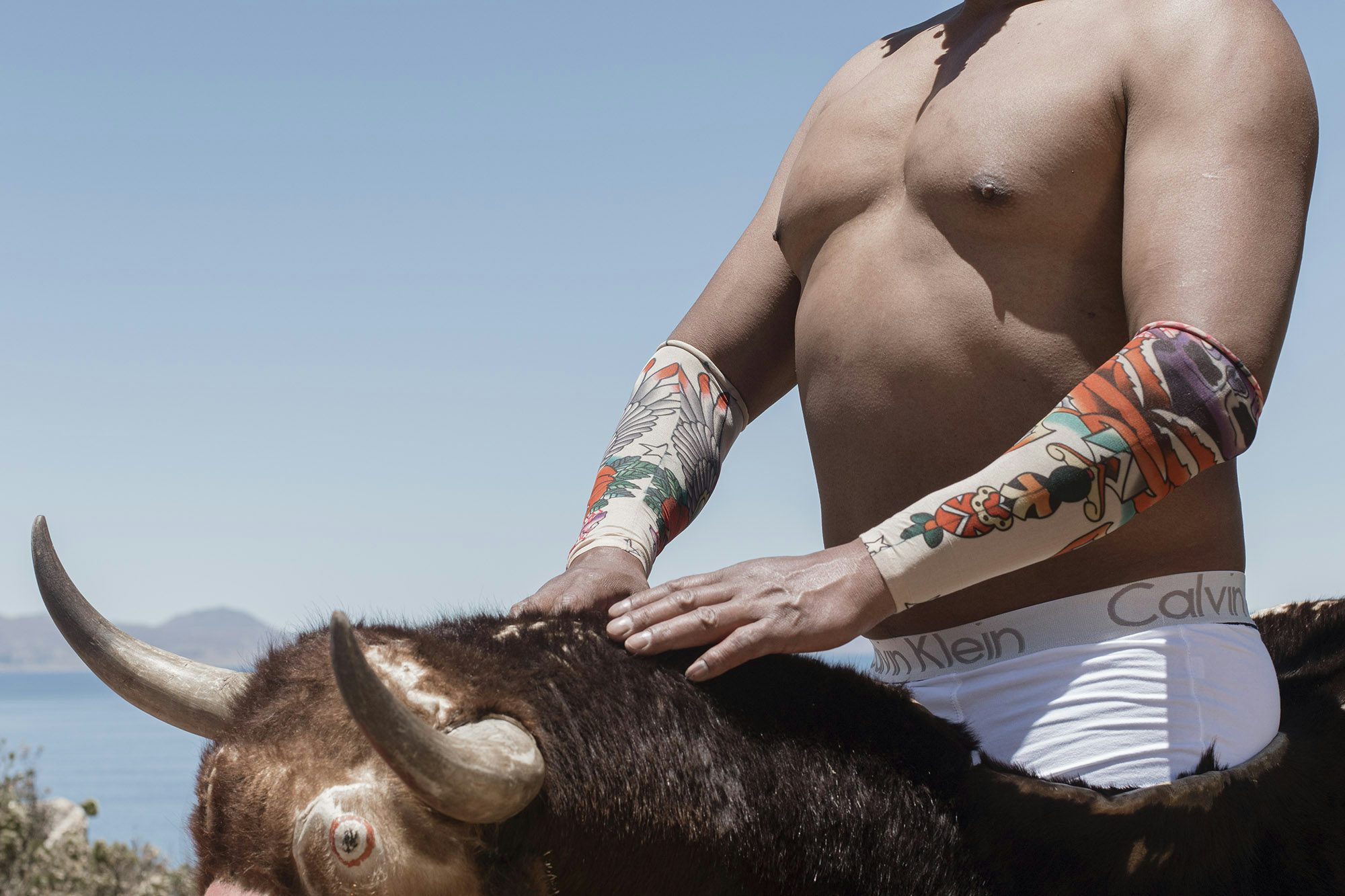 Image by River Claure showing a shirtless person wearing Calvin Klein boxers, stood inside a model of a horned animal as though riding it