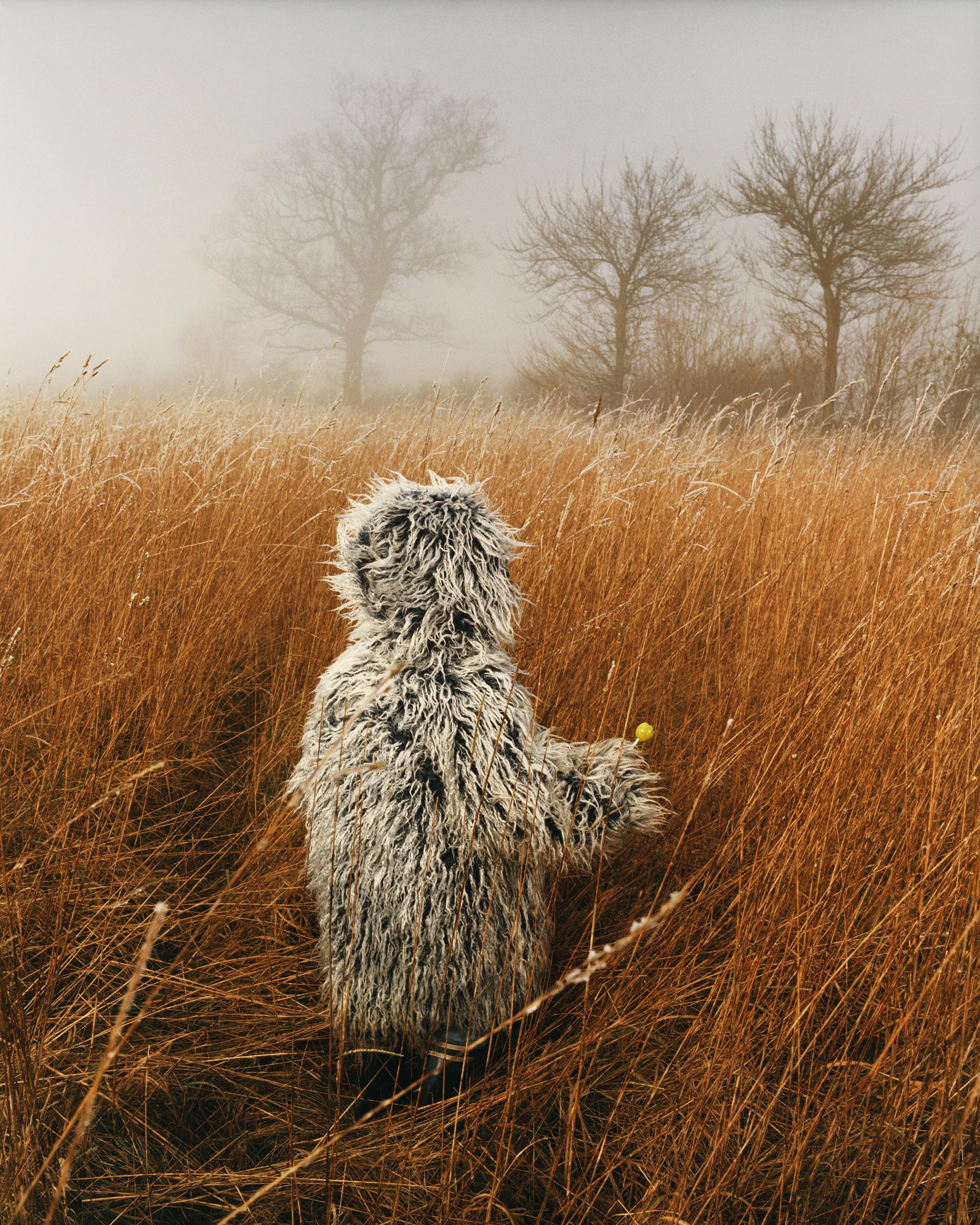 Emma Hardy Permissions   Frost And Fog On The School Run Home By Emma Hardy 