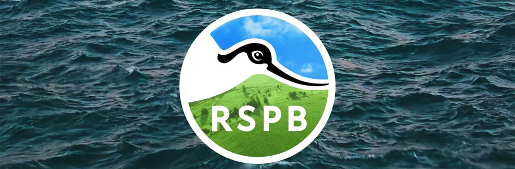 ASHA & Co, RSPB branding