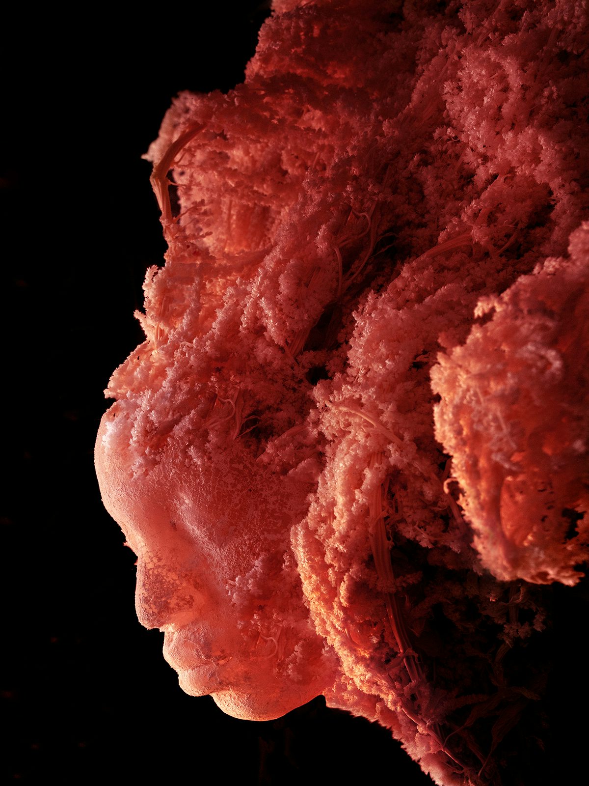 Image by David Uzochukwu shows the shape of a person's face rendered in a coral-like texture