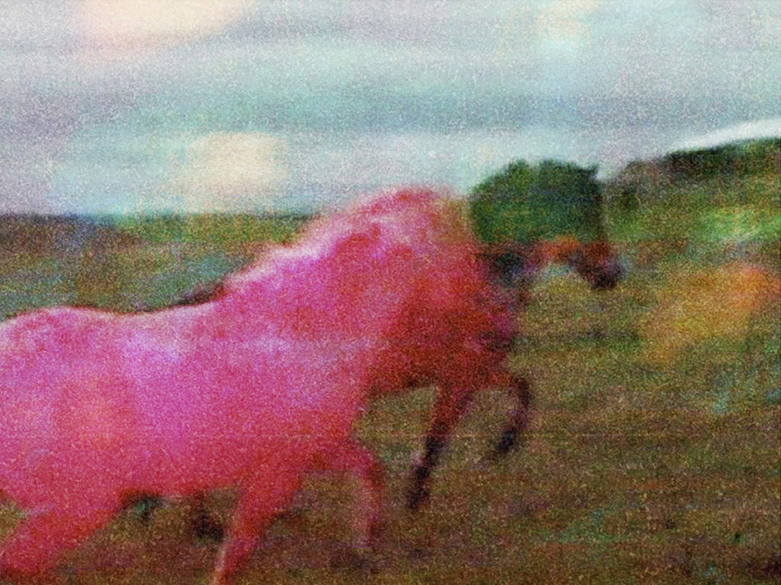 Image by Gareth McConnell from his project The Horses, which shows two horses galloping next to each other in a field. The image has been treated so the horse in the foreground appears pink