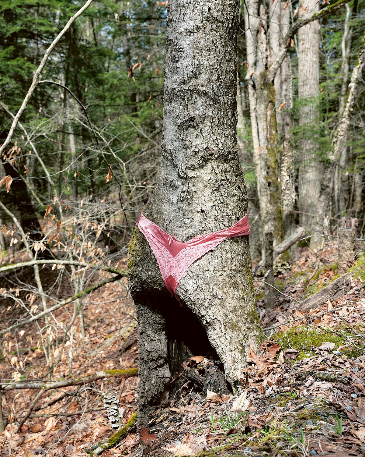 Image from Another Online Pervert by Brea Souders showing pink underwear attached to a tree as though wearing it