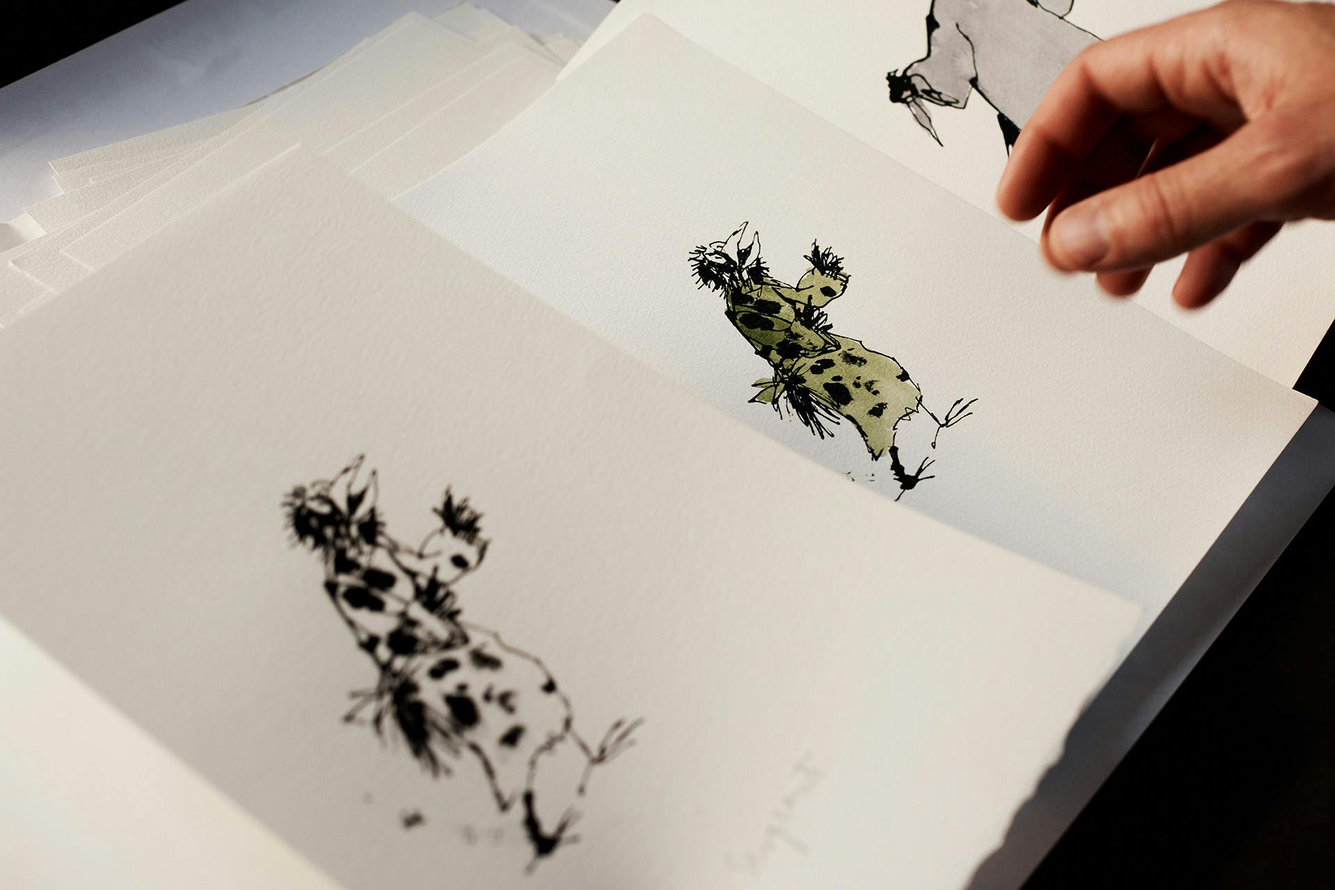 Photograph shows the evolution of an illustration by Quentin Blake, which shows a black and white drawing of a bird next to a colour version