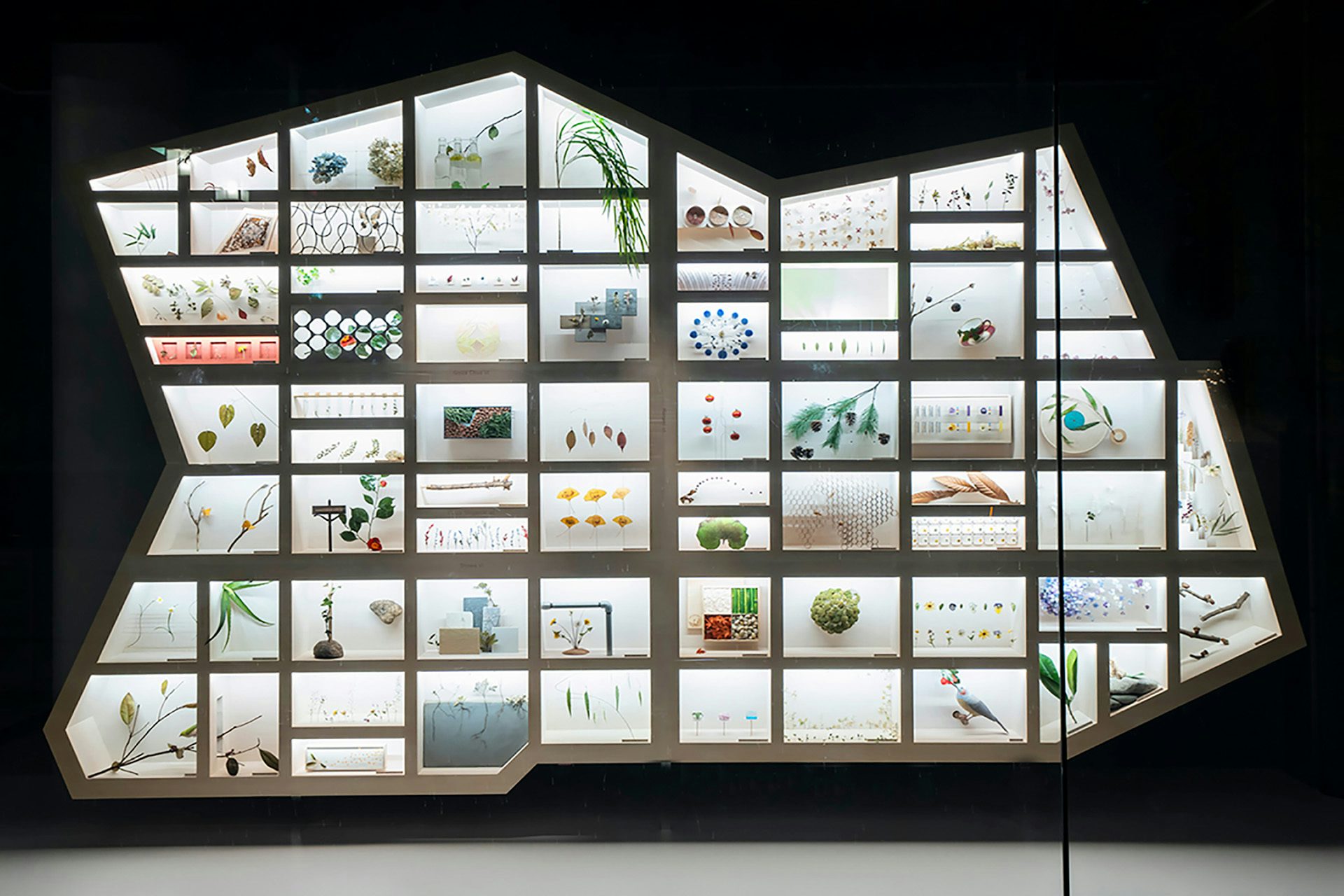 Photo of Shiseido's window display in its Ginza store, which features display boxes stacked on top of each other, with examples of plantlife inside each display