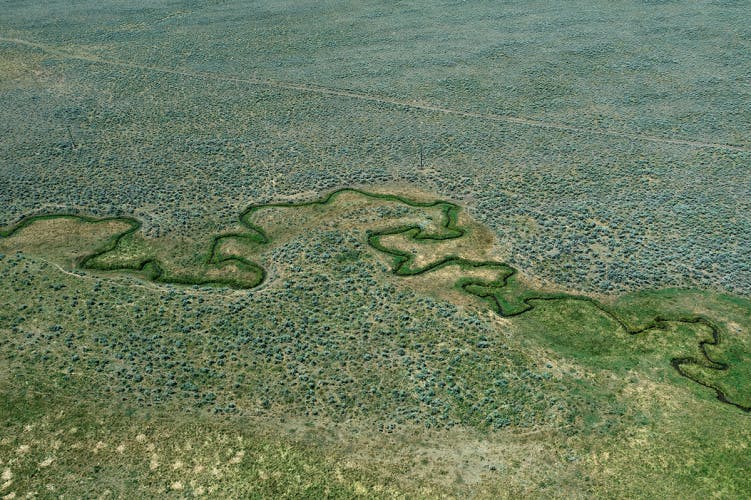 Image from Topographies by Stephen Shore showing a winding waterway running through a grassy landscape from above