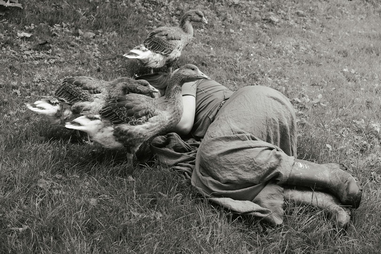 Black and white image shows a person in a dress lying on grass with her head concealed by geese, taken from Yana Wernicke's book Companions