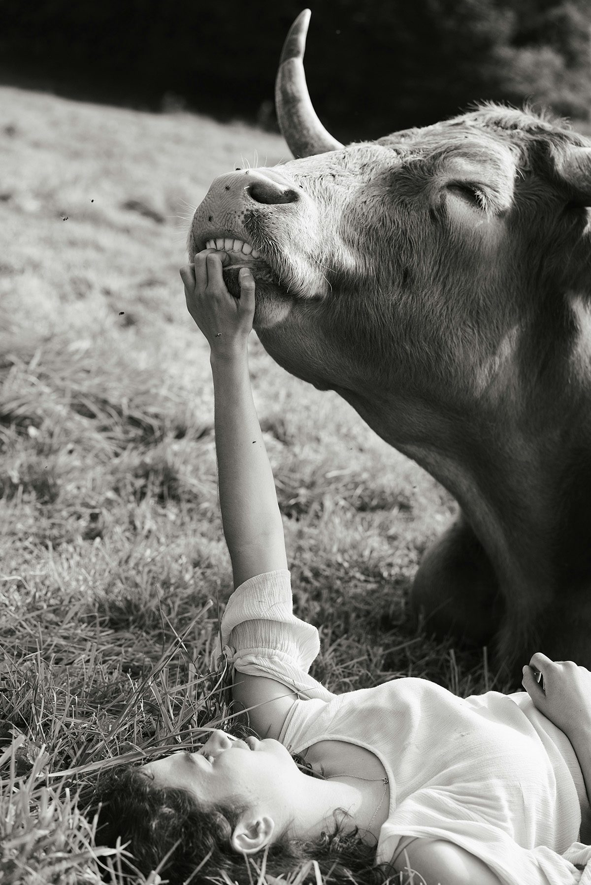 Black and white image shows a young person lying on grass holding onto a cow's bottom lip, taken from Yana Wernicke's book Companions