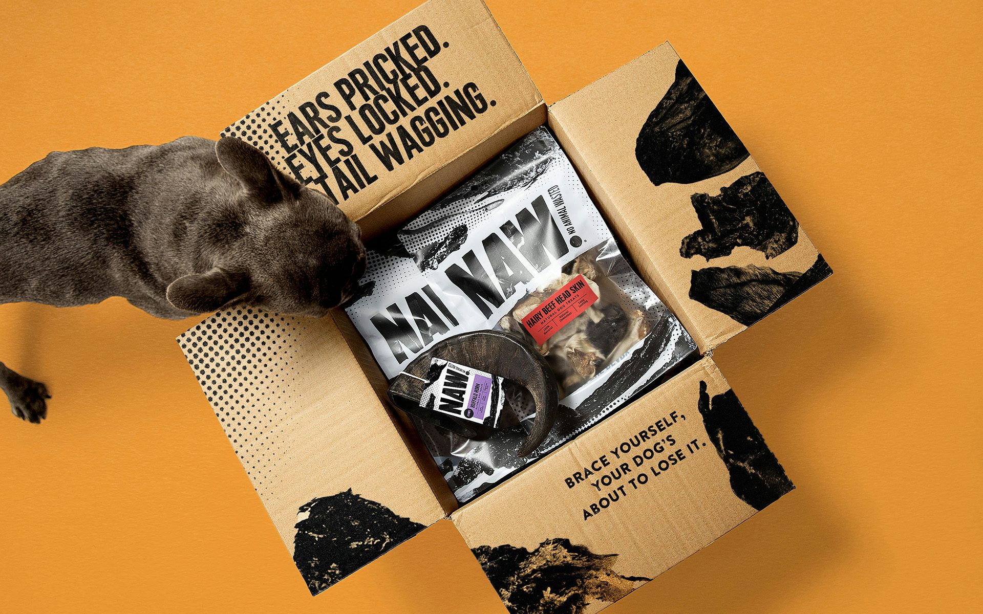 Image shows a packaging box featuring NAW's branding by Robot Food, with a dog inspecting the products inside