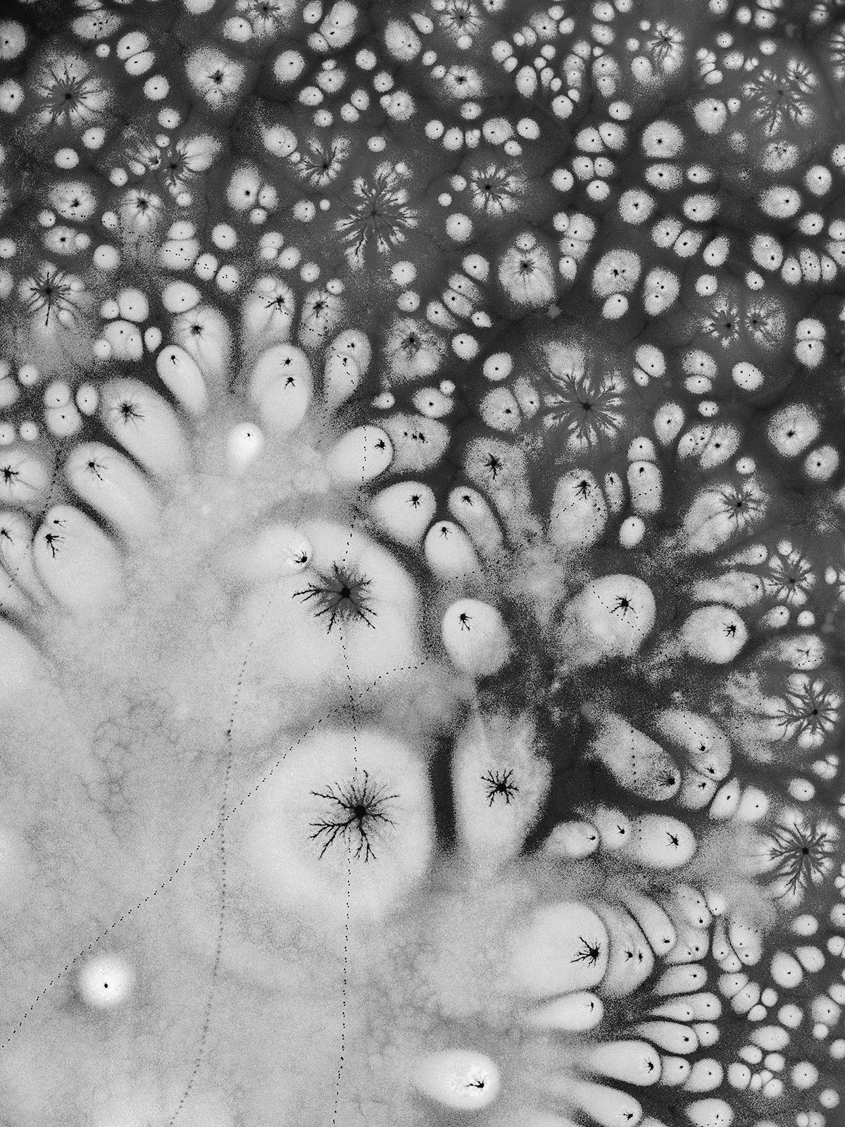 Black and white abstract photograph of a frozen body of water, from the Sony World Photo Awards 2023