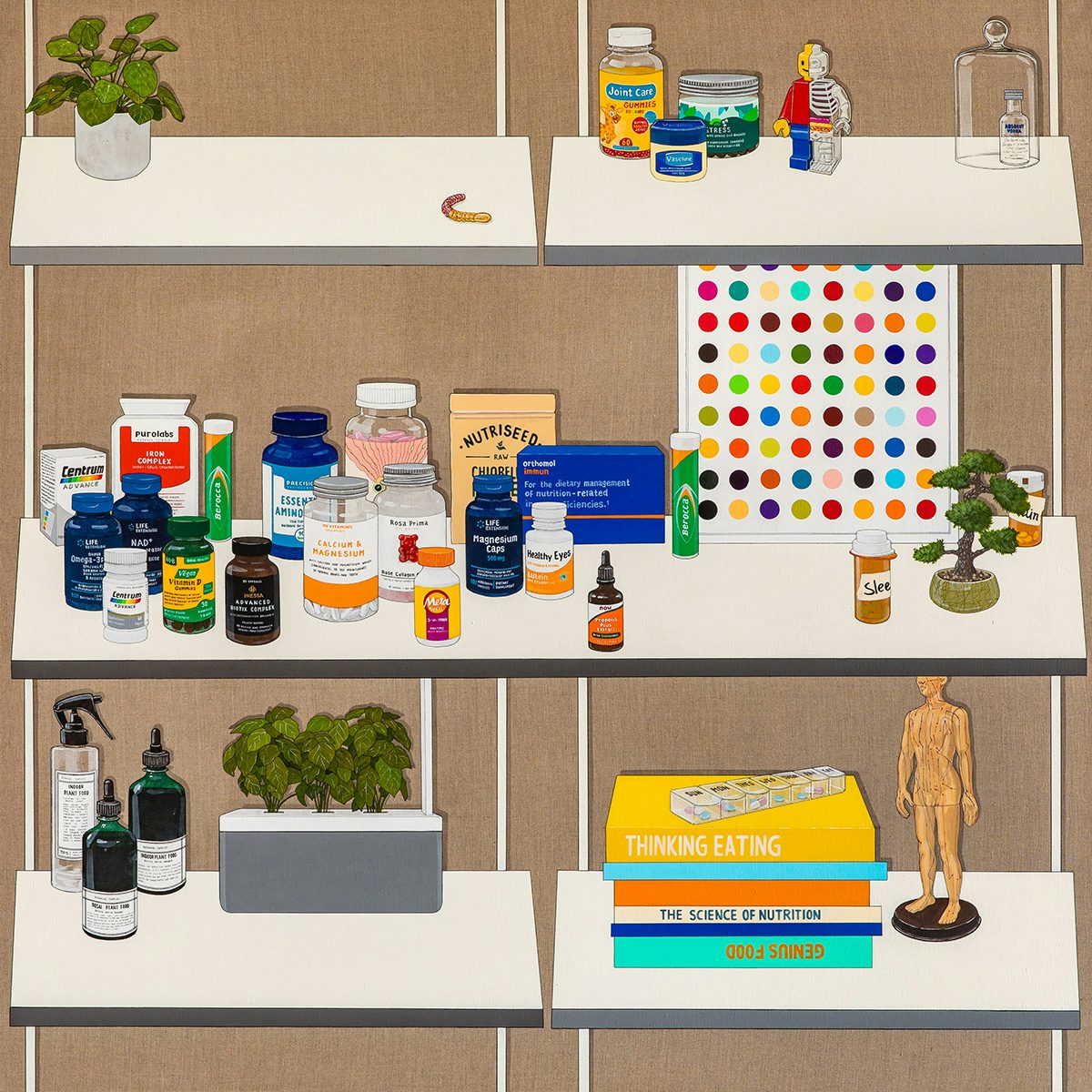 Painting by Sooyoung Chung showing vitamin and supplement bottles, a bonsai tree, books about wellness, a rendition of Damien Hirst's dots painting, and other objects arranged on three shelves