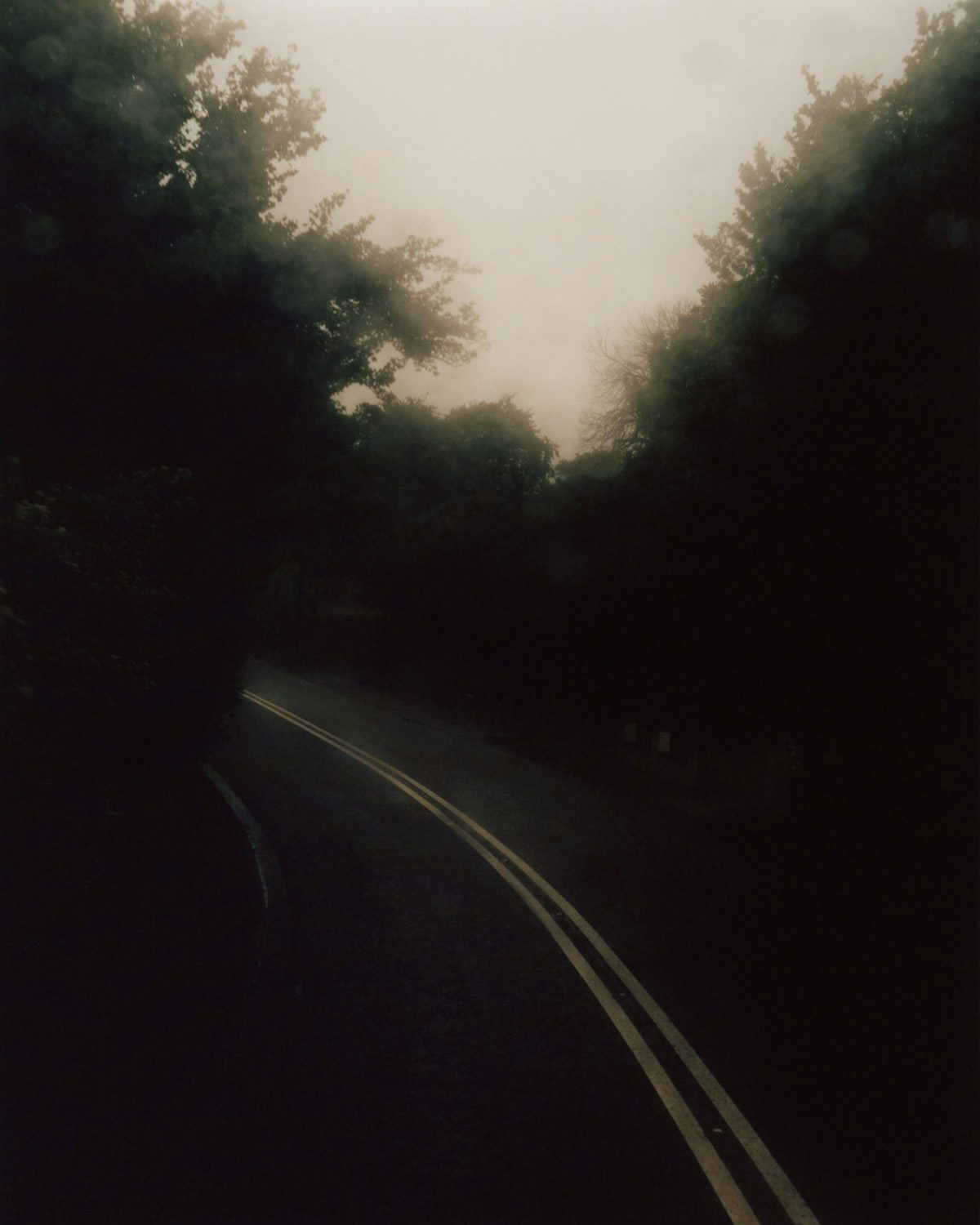 Photograph from Folly by Jamie Murray showing a road lined with trees