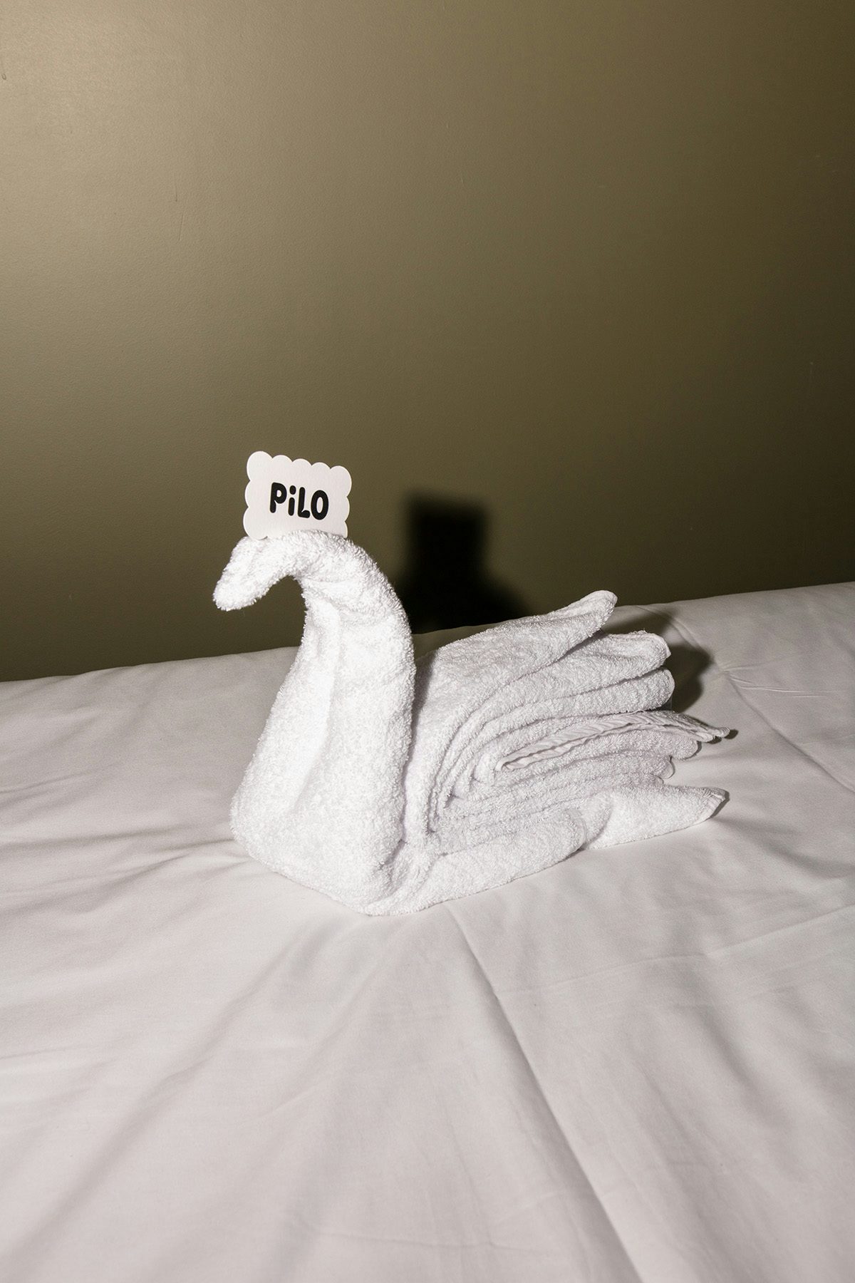 Photo of a towel arranged in the shape of a swan labelled Pilo