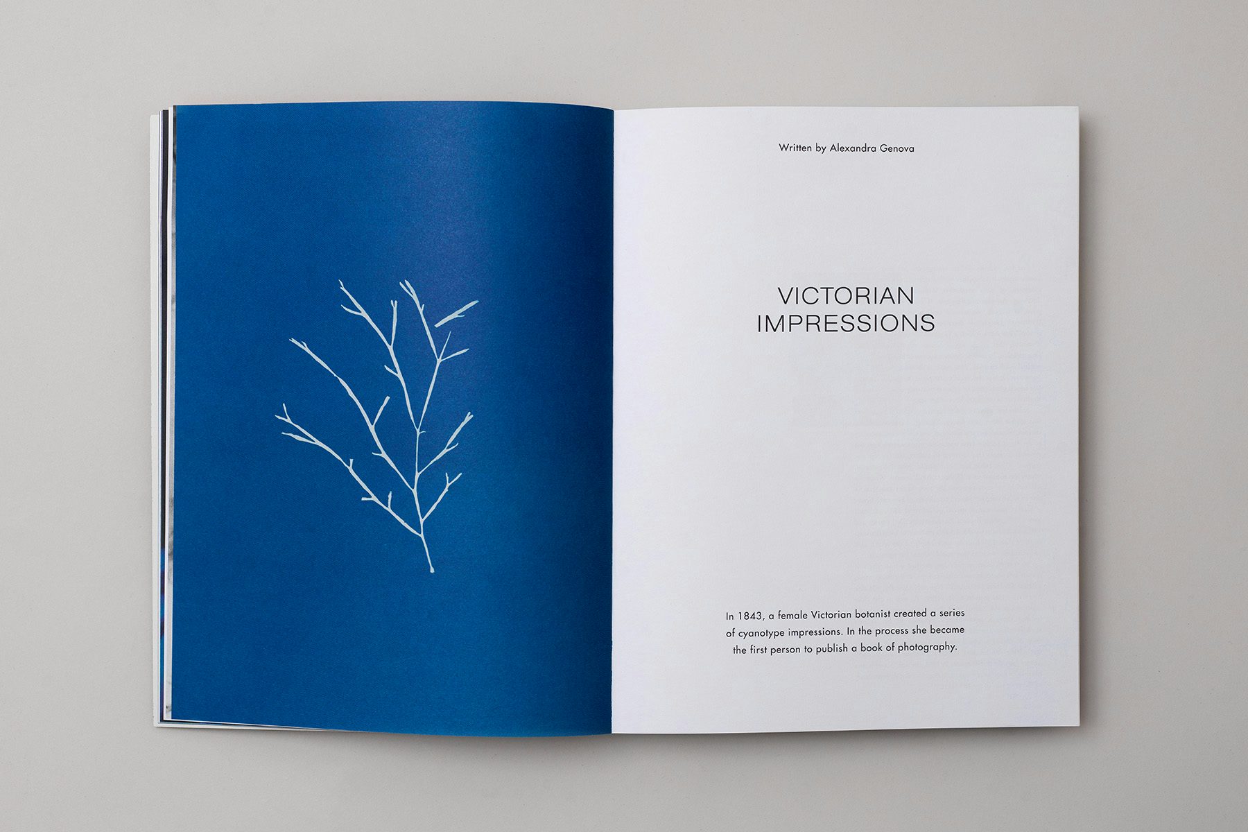 Photograph of a spread from the Blue issue of The Colour Journal, showing a blue cyanotype of a branch on the left page and text on the right page headlined 'Victorian impressions'