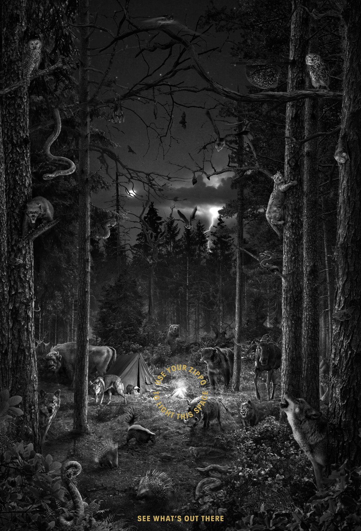 Black and white poster created for Zippo showing a forest scene