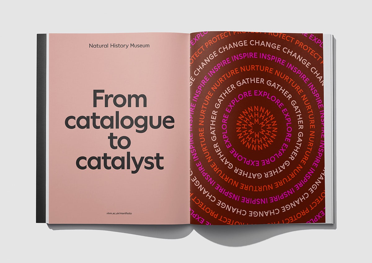 Image shows the new Natural History Museum branding in a booklet, which reads 'From catalogue to catalyst' on a dusty pink background on the left hand page, and the words 'gather', 'nurture', 'explore', 'change', 'protect', and 'inspire', arranged in concentric circles