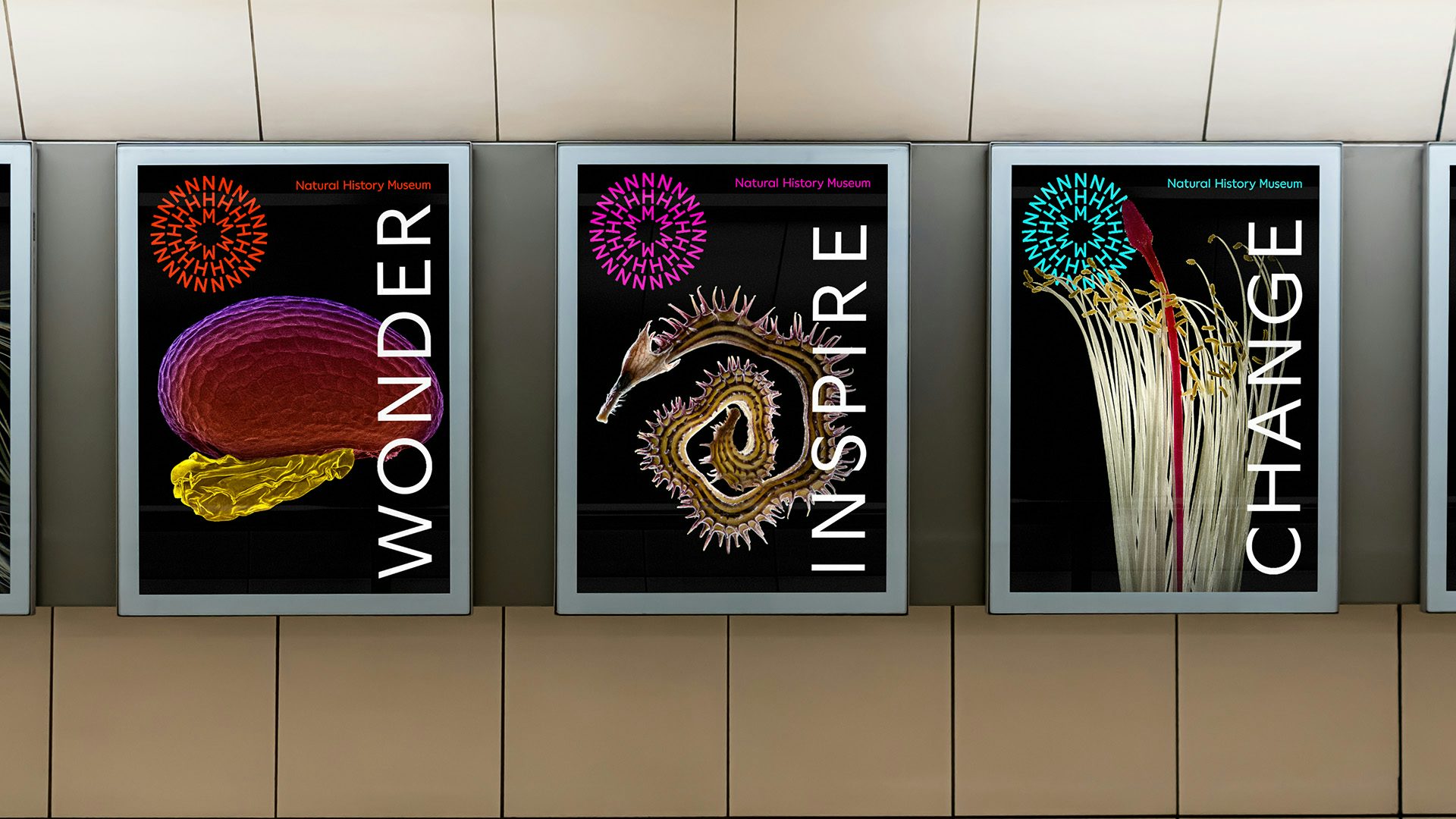 Image shows the new Natural History Museum branding on three outdoor posters headlined 'Wonder', 'Inspire', and 'Change' on top of images of scientific specimens