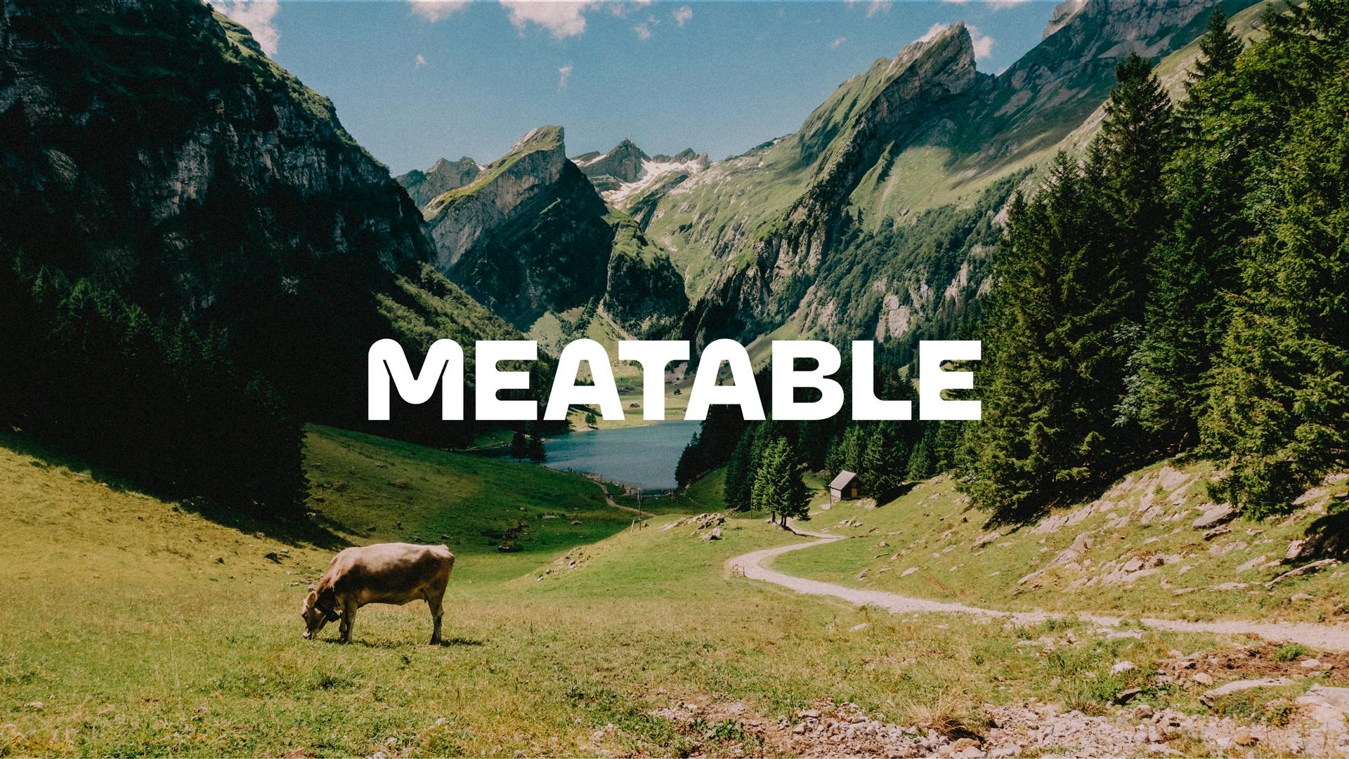 THE CHANGING FACE OF SUSTAINABLE BRANDING