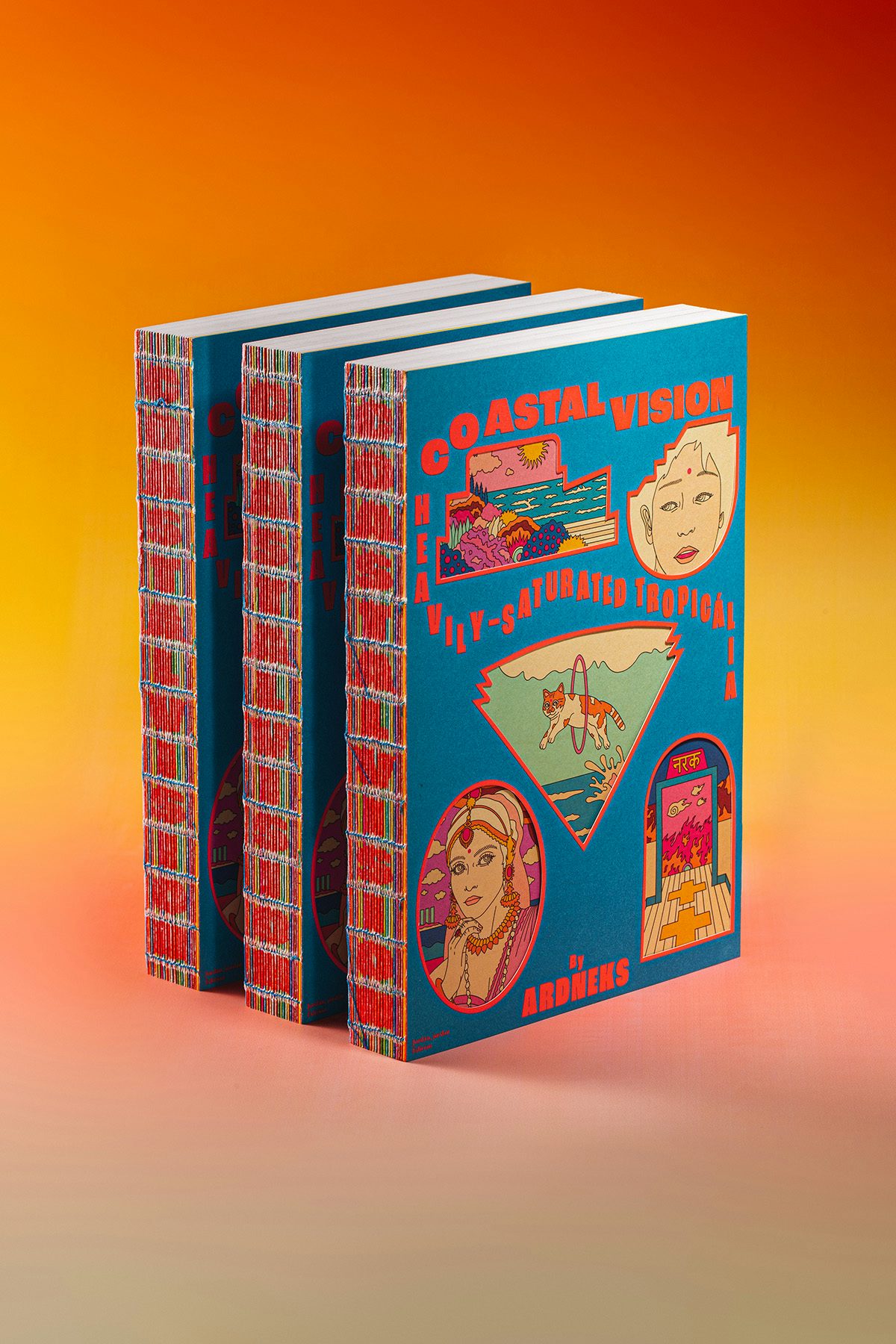 Photograph showing the open spine and colourful illustrated cover of Ardneks' book Coastalvision